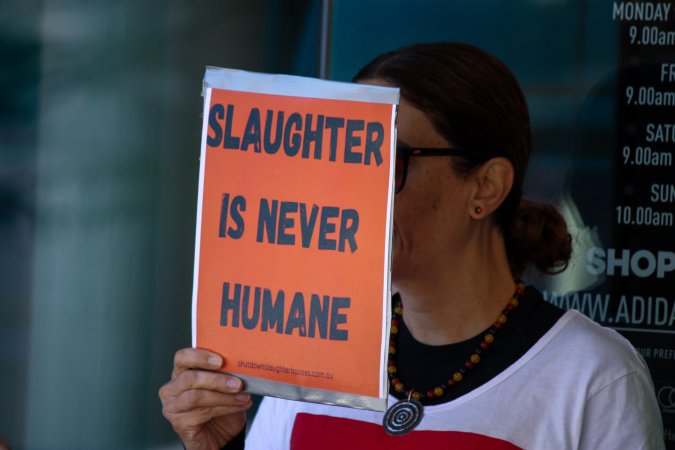 Global Day of Protest at Adidas 2024