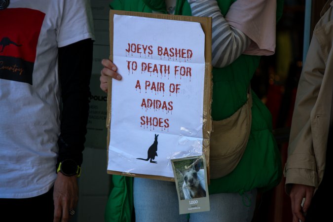 Global Day of Protest at Adidas 2024