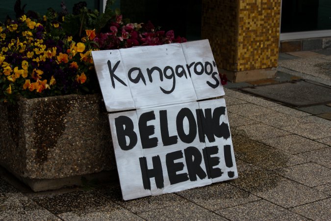 Walk for Justice for ACT Kangaroos 2025