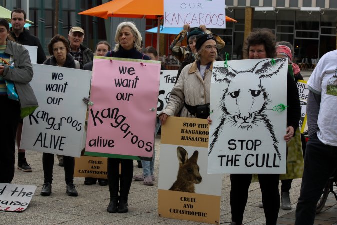 Walk for Justice for ACT Kangaroos 2025