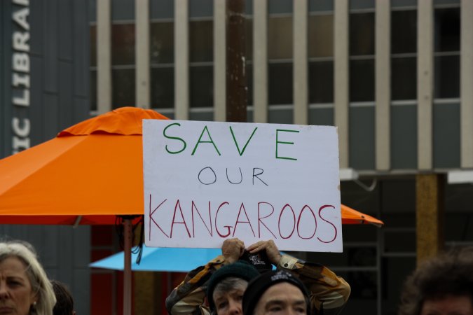Walk for Justice for ACT Kangaroos 2025