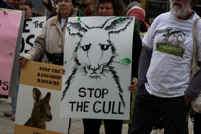 Walk for Justice for ACT Kangaroos 2025
