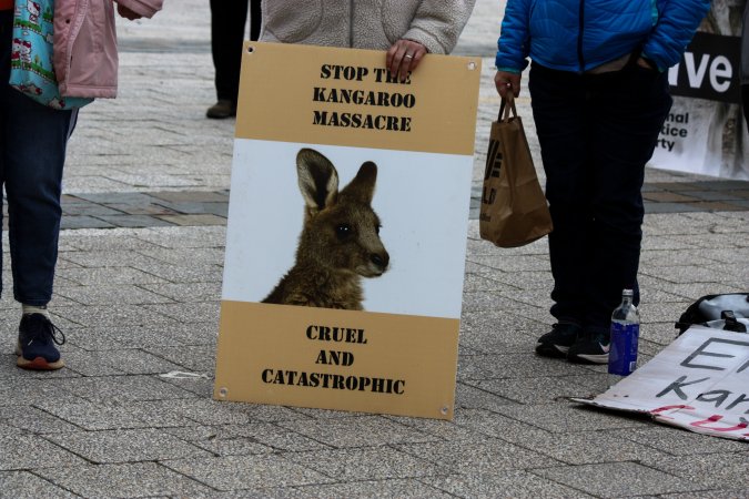 Walk for Justice for ACT Kangaroos 2025