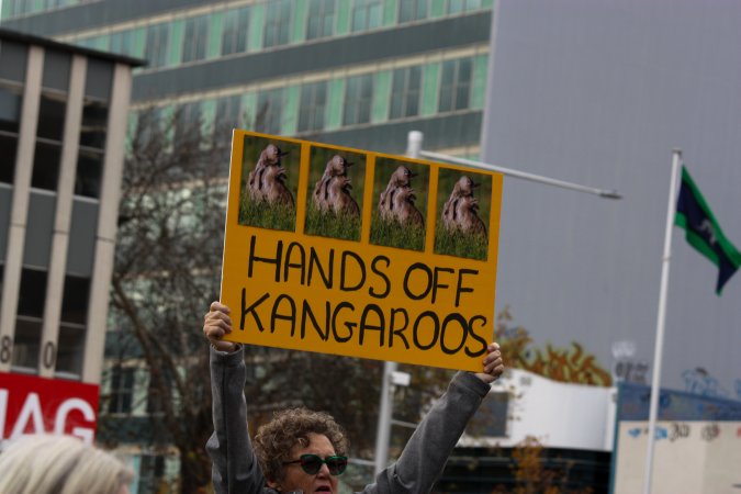 Walk for Justice for ACT Kangaroos 2025