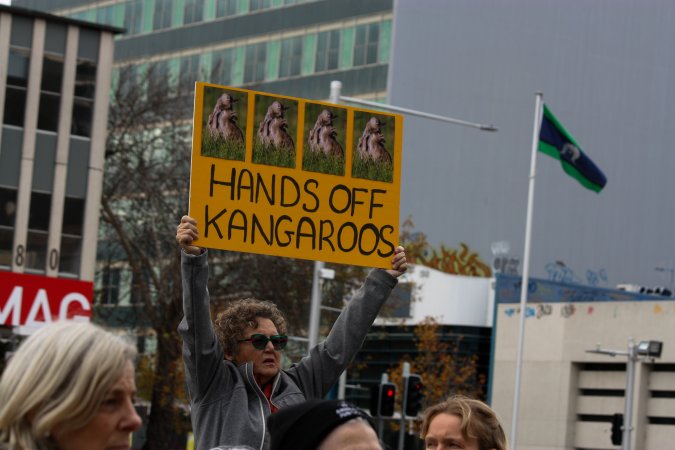 Walk for Justice for ACT Kangaroos 2025