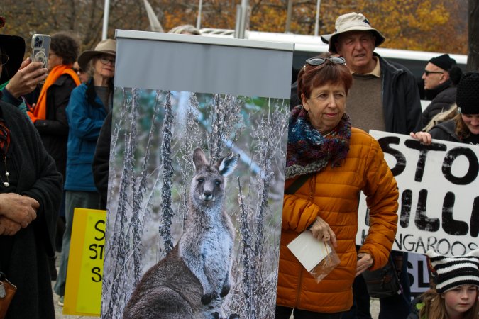 Walk for Justice for ACT Kangaroos 2025