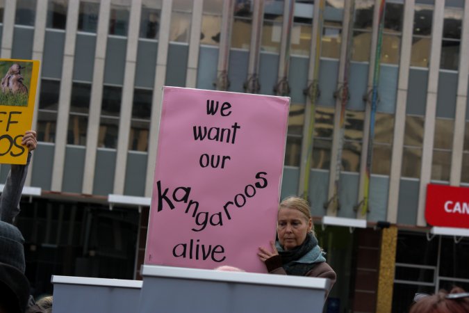 Walk for Justice for ACT Kangaroos 2025