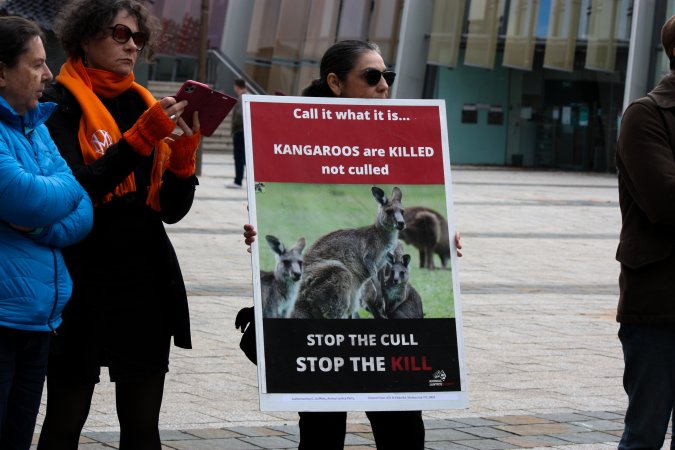 Walk for Justice for ACT Kangaroos 2025