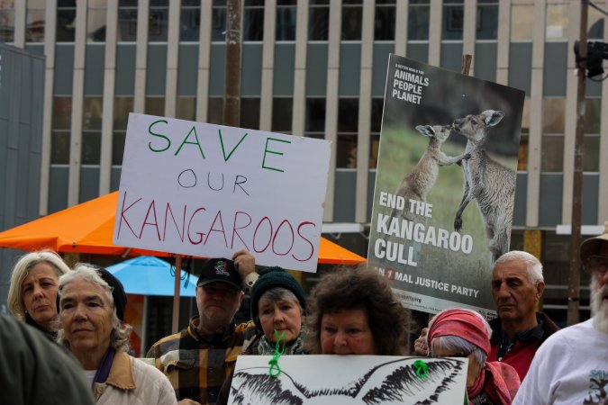 Walk for Justice for ACT Kangaroos 2025