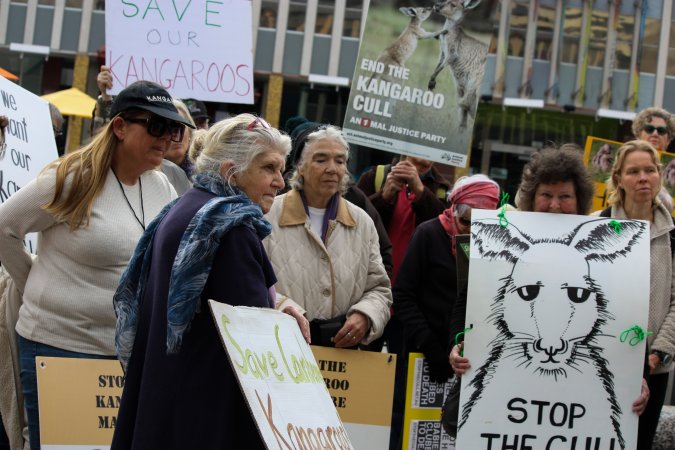 Walk for Justice for ACT Kangaroos 2025