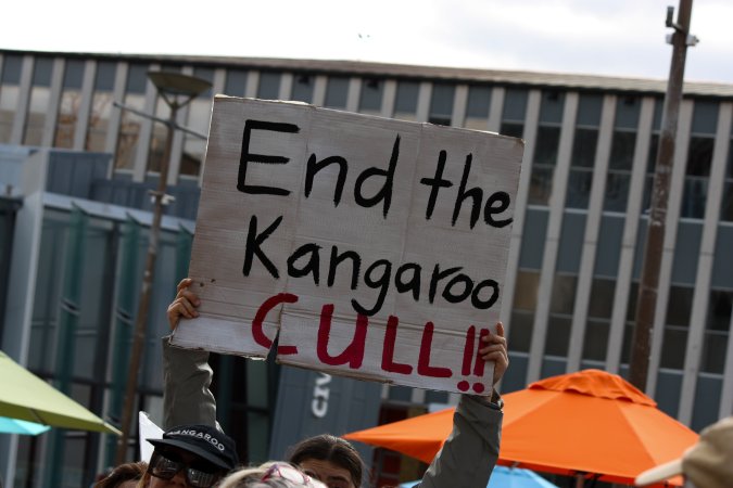 Walk for Justice for ACT Kangaroos 2025