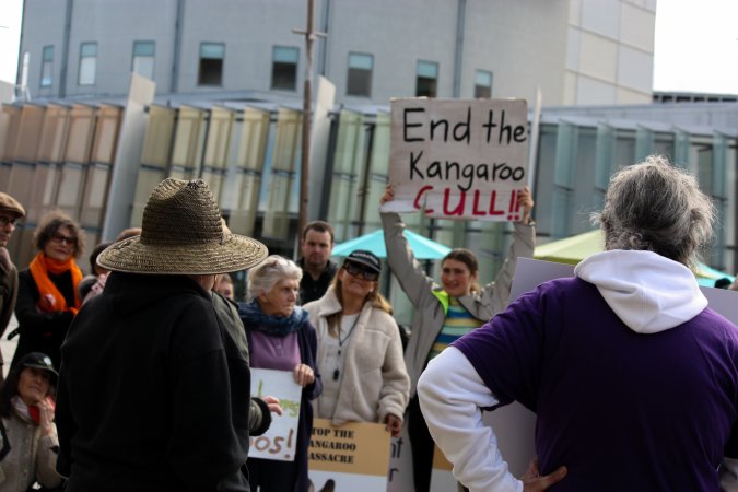 Walk for Justice for ACT Kangaroos 2025