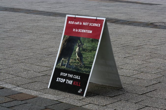 Walk for Justice for ACT Kangaroos 2025
