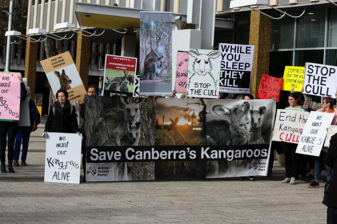 Walk for Justice for ACT Kangaroos 2025