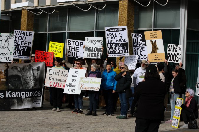 Walk for Justice for ACT Kangaroos 2025