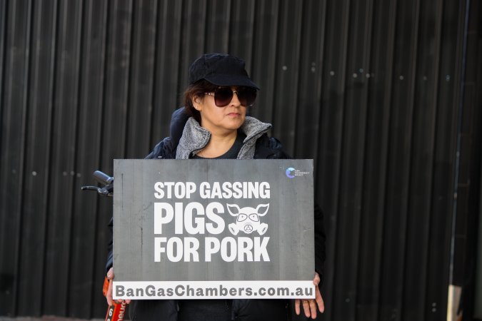 Go Vegan Outreach 2025