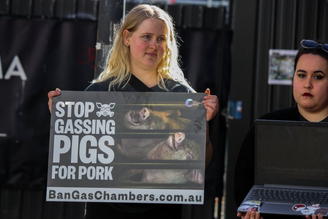 Go Vegan Outreach 2025