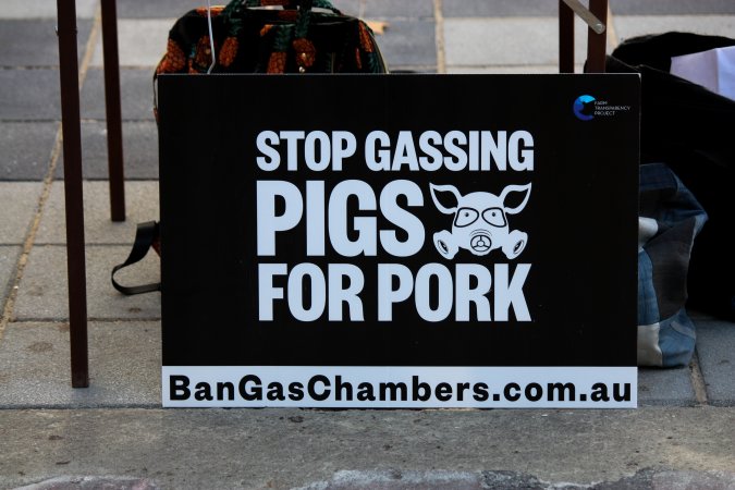 Go Vegan Outreach 2025