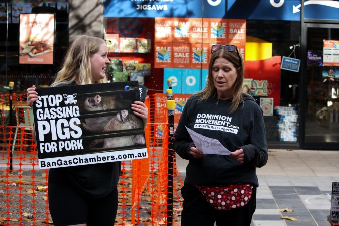 Go Vegan Outreach 2025