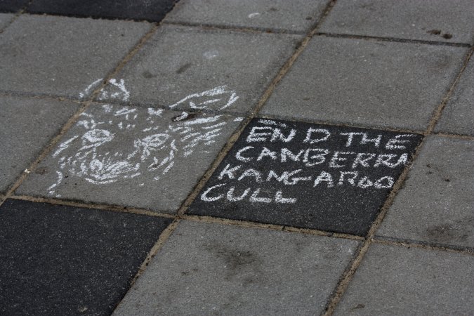 Go Vegan Outreach 2025