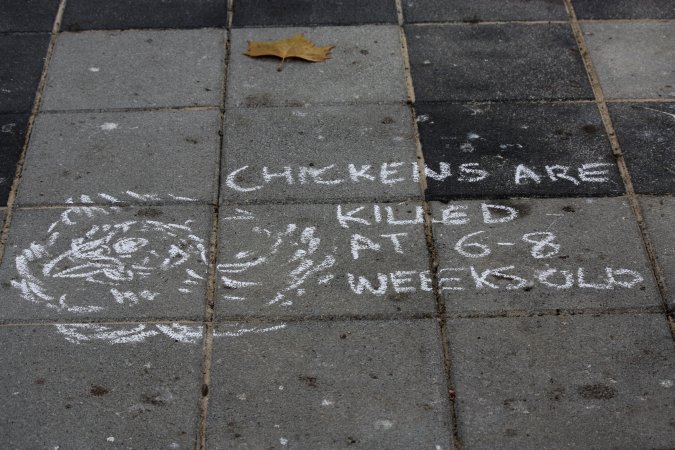 Go Vegan Outreach 2025