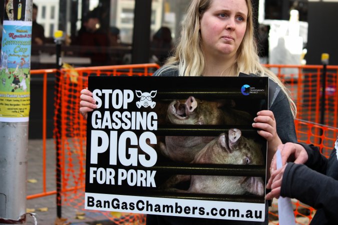 Go Vegan Outreach 2025
