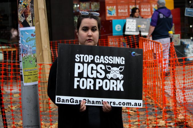 Go Vegan Outreach 2025