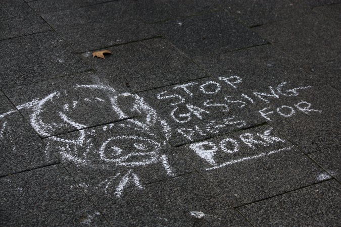 Go Vegan Outreach 2025