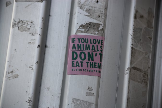 Go Vegan Outreach 2025