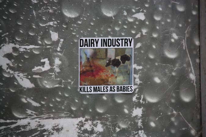 Go Vegan Outreach 2025
