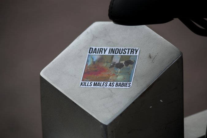 Go Vegan Outreach 2025
