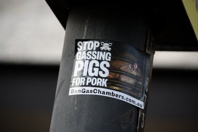 Go Vegan Outreach 2025