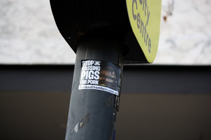 Go Vegan Outreach 2025