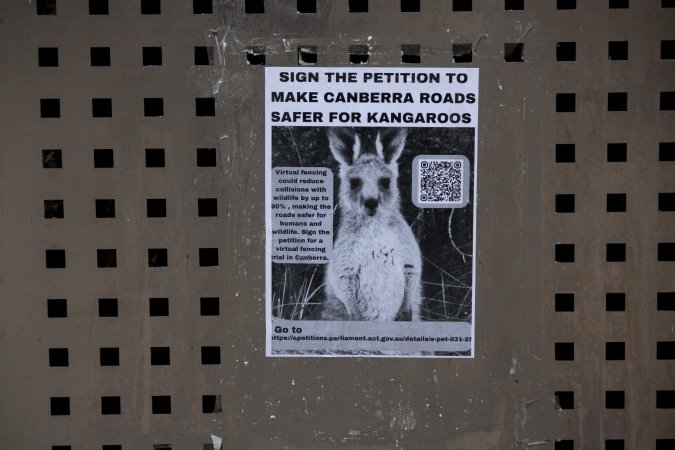 Go Vegan Outreach 2025