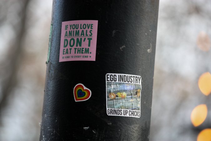 Go Vegan Outreach 2025
