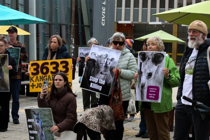 Rally Against the Kangaroo Cull 2026