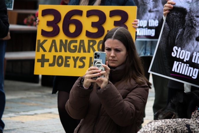 Rally Against the Kangaroo Cull 2026