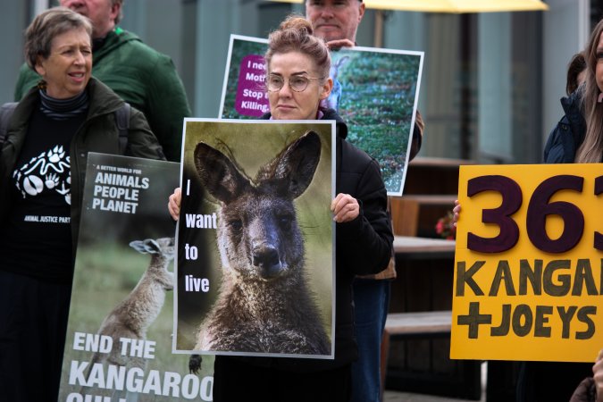 Rally Against the Kangaroo Cull 2026
