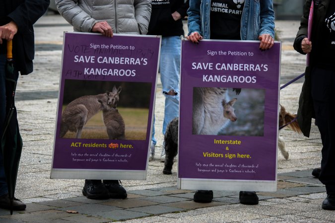 Rally Against the Kangaroo Cull 2026