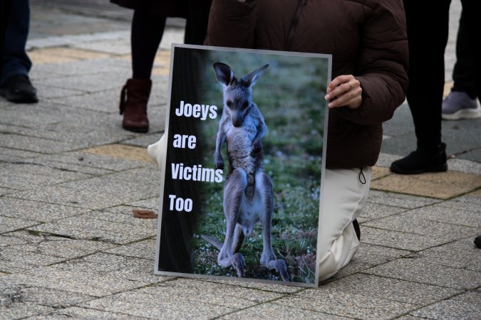 Rally Against the Kangaroo Cull 2026