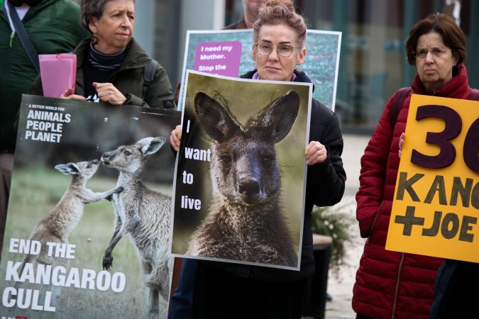 Rally Against the Kangaroo Cull 2026