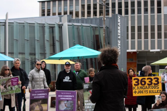 Rally Against the Kangaroo Cull 2026
