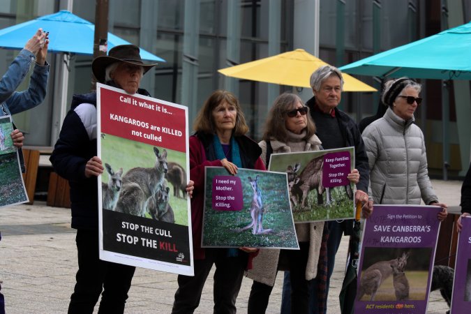 Rally Against the Kangaroo Cull 2026