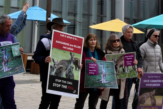 Rally Against the Kangaroo Cull 2026