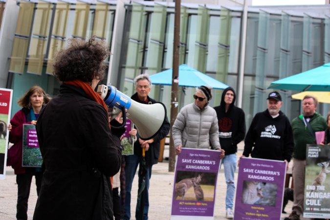 Rally Against the Kangaroo Cull 2026
