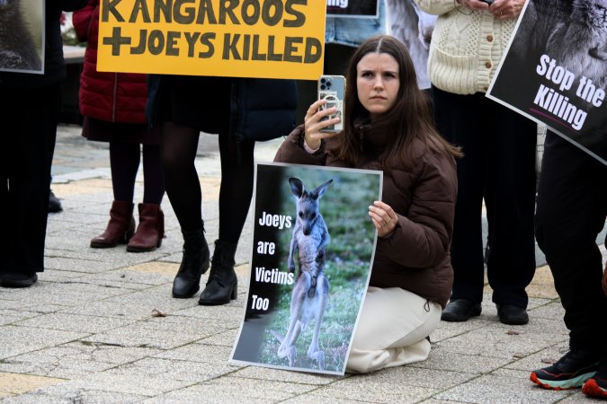 Rally Against the Kangaroo Cull 2026