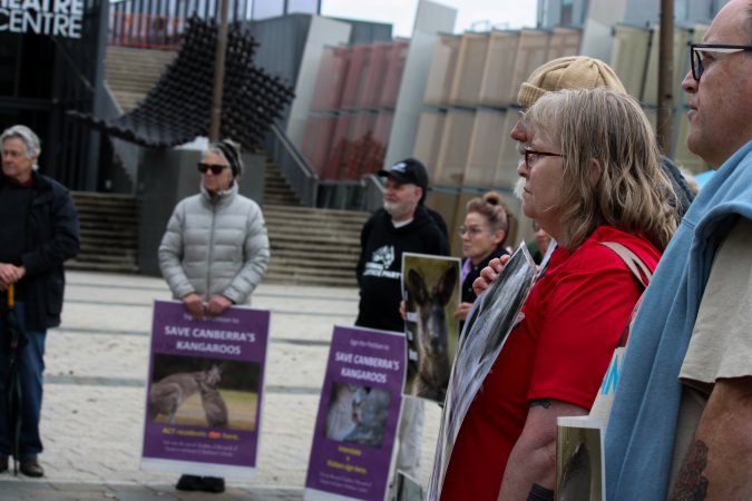 Rally Against the Kangaroo Cull 2026