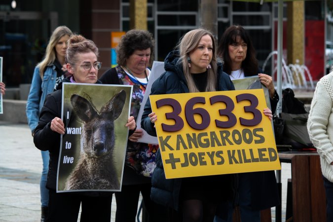 Rally Against the Kangaroo Cull 2026
