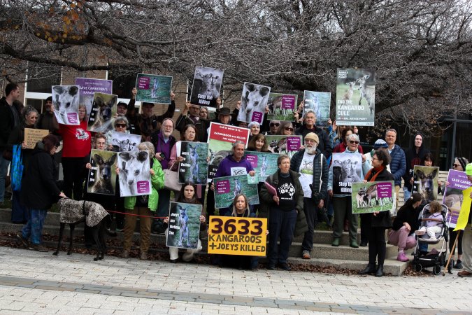 Rally Against the Kangaroo Cull 2026