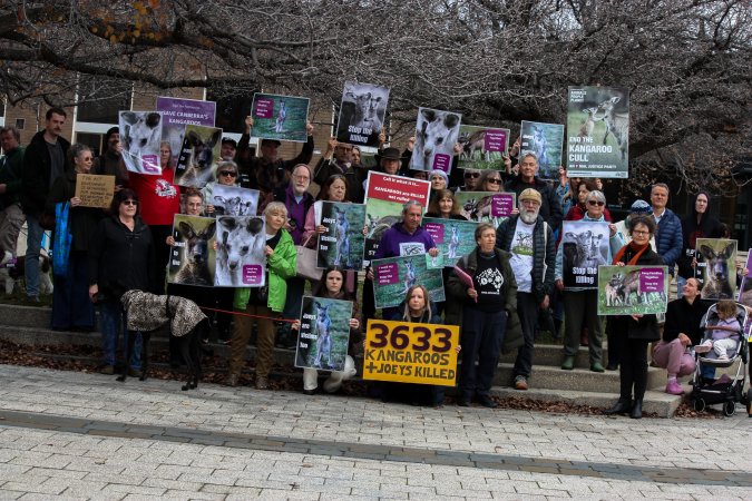 Rally Against the Kangaroo Cull 2026